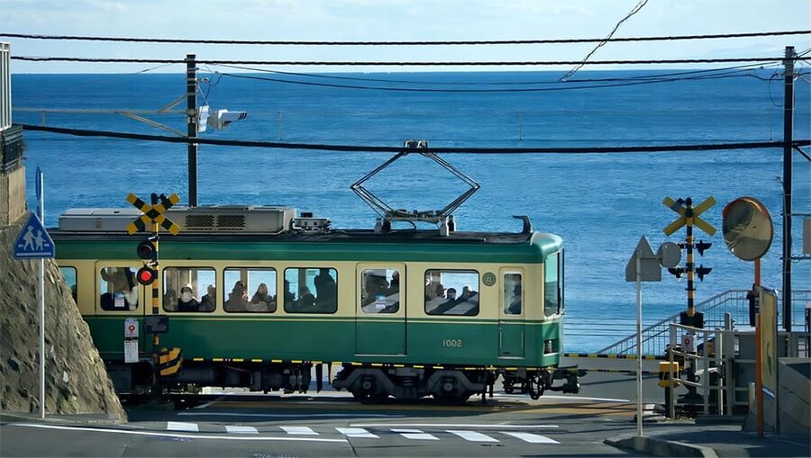 Tokyo: Kamakura & Enoshima Day Tour with Pickup & Train Ride - What the driver does, and what you do