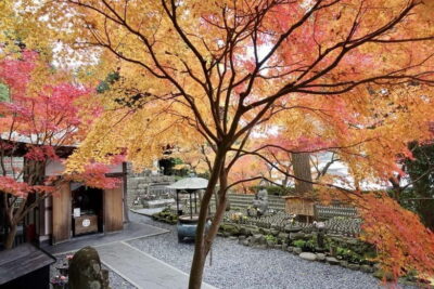 Kamakura & Enoshima Day Trip including Temple Tickets