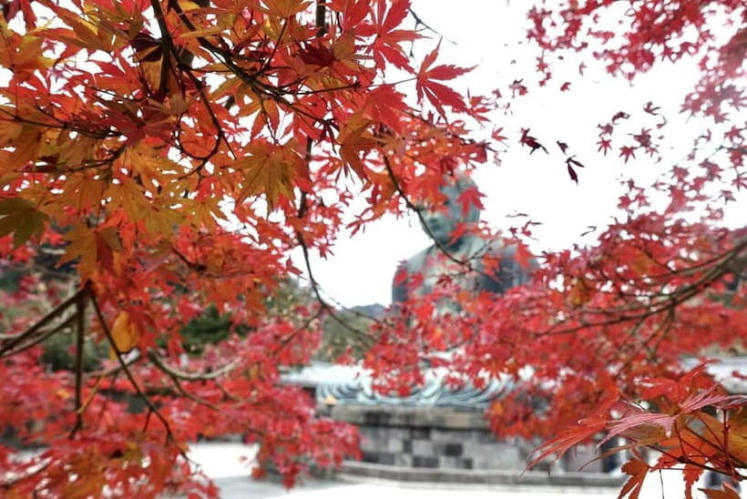 Tokyo: Kamakura & Enoshima Day Trip including Temple Tickets - Hasedera and the Eleven-Headed Kannon