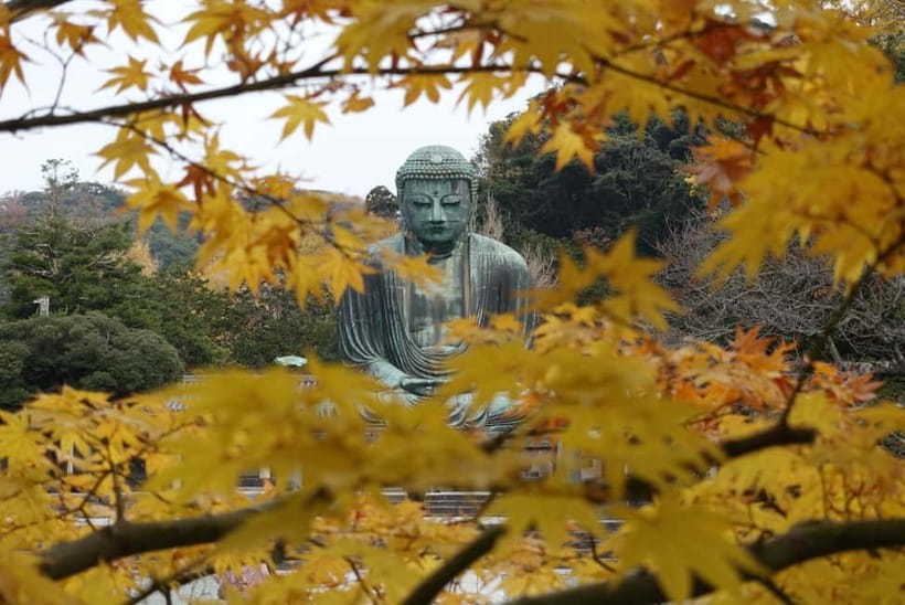 Tokyo: Kamakura & Enoshima Day Trip including Temple Tickets - The Sea Candle, Iwaya Caves, and Benzaiten Street