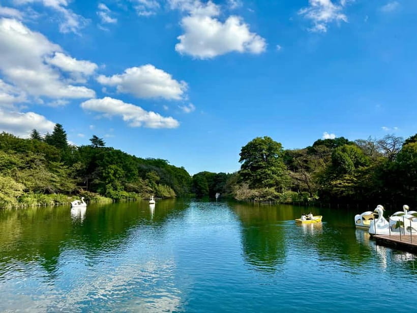 Tokyo: Kichijoji Walking Tour with Local Guide - The Ghibli Museum, two hours at your own speed