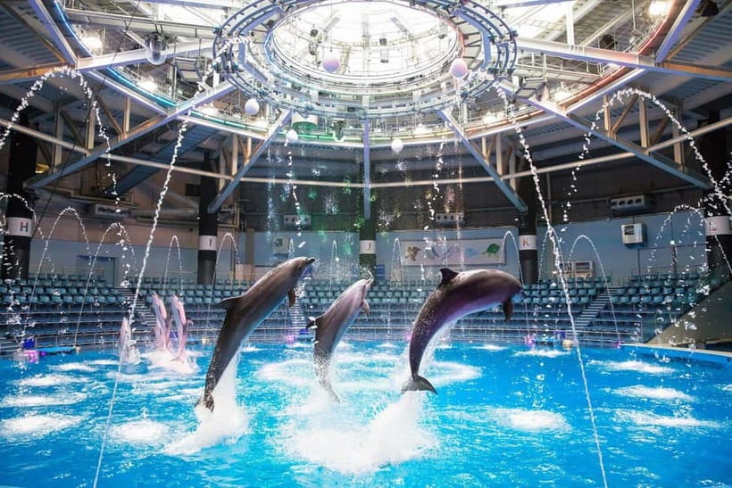Tokyo: Maxell Aqua Park Shinagawa Direct Entry Ticket - Why This Aquarium Works Well In Central Tokyo