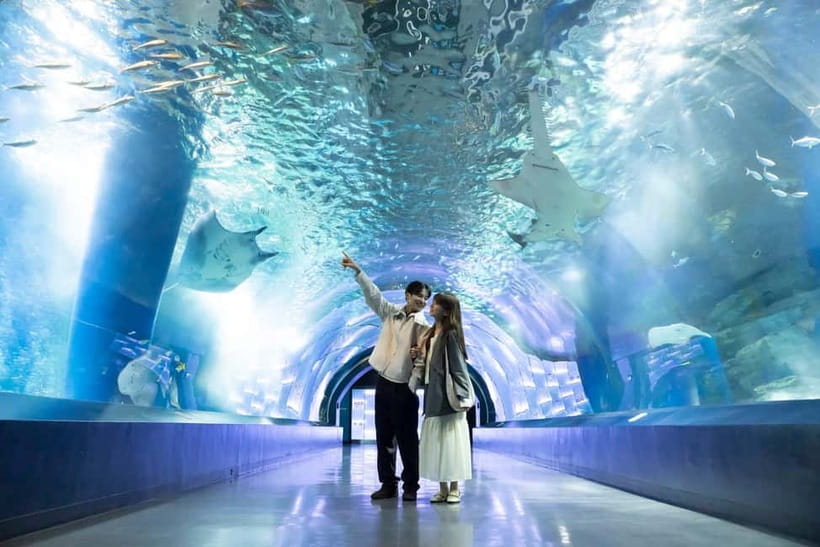 Tokyo: Maxell Aqua Park Shinagawa Direct Entry Ticket - Your First Minutes With The Direct-Entry Ticket