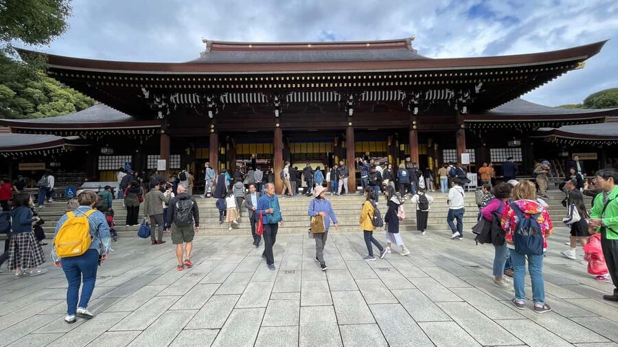 Tokyo: Meiji Jingu, Harajuku, Shibuya, and Shijuku Tour - Transport, walking, and the pace