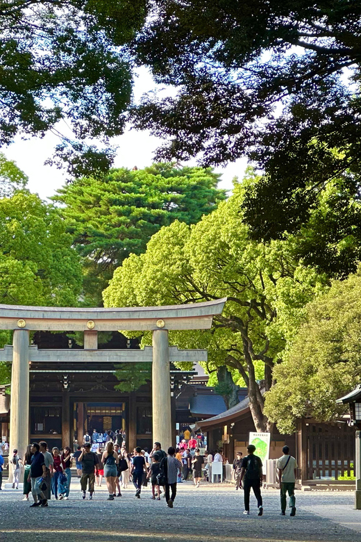 Tokyo: Meiji Jingu Shrine and Shinto Culture Walking Tour - Is the $19 price good value?