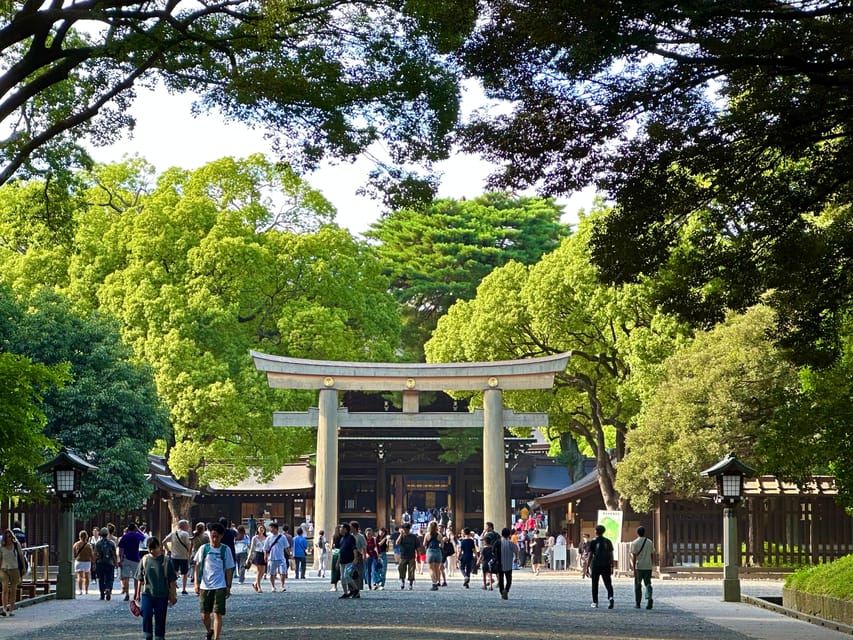 Tokyo: Meiji Jingu Shrine and Shinto Culture Walking Tour - The guide makes the difference