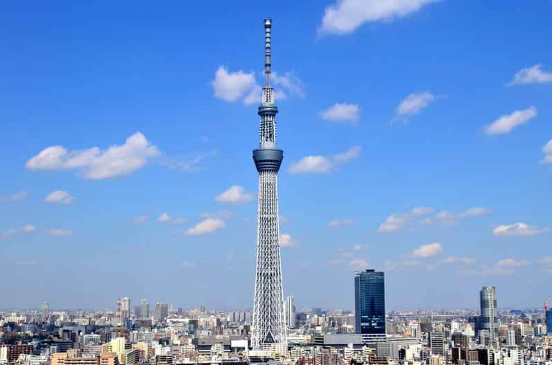 Tokyo: Meiji Shrine, Asakusa, Skytree Bus Tour and Cruise - Meiji Shrine and the forest in Harajuku
