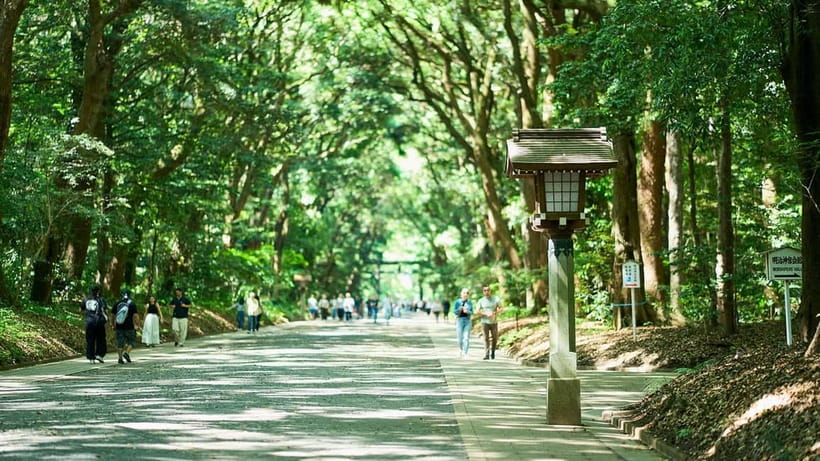 Tokyo: Meiji Shrine Walking Tour — Shinto & Imperial System - Sake barrels, wine barrels, and the Meiji connection