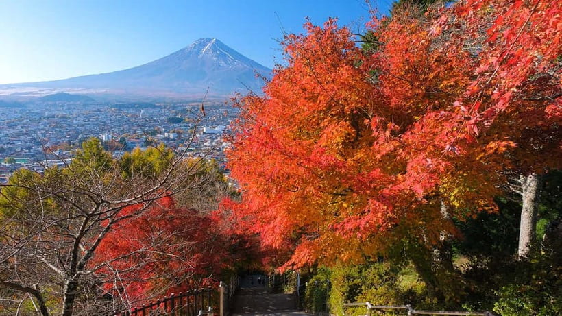 Tokyo: Mount Fuji 5th Station & Onsen Day Trip - Is $50 good value?