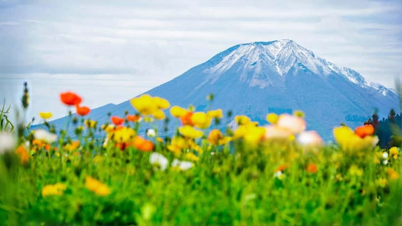 Tokyo: Mount Fuji 5th Station & Onsen Day Trip - When the 5th Station becomes Shinkurayama Asama Park