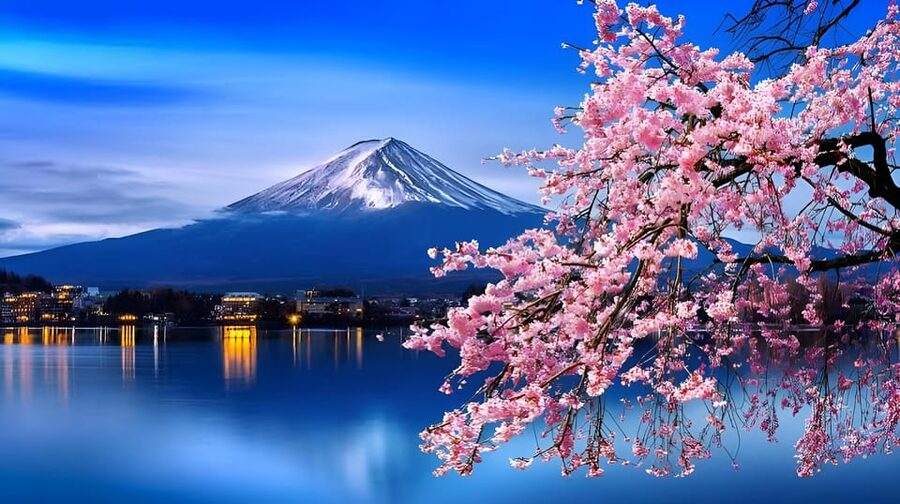 Tokyo: Mount Fuji and Hakone private sightseeing tour - Arakurayama Sengen Park and the famous Fuji view