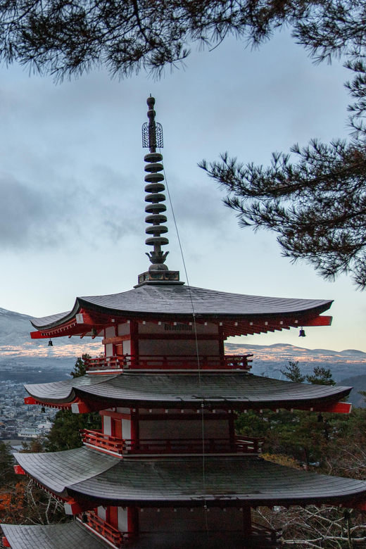 Tokyo: Mount Fuji & Hakone Private Tour with Guide - Price, group size, and the real value