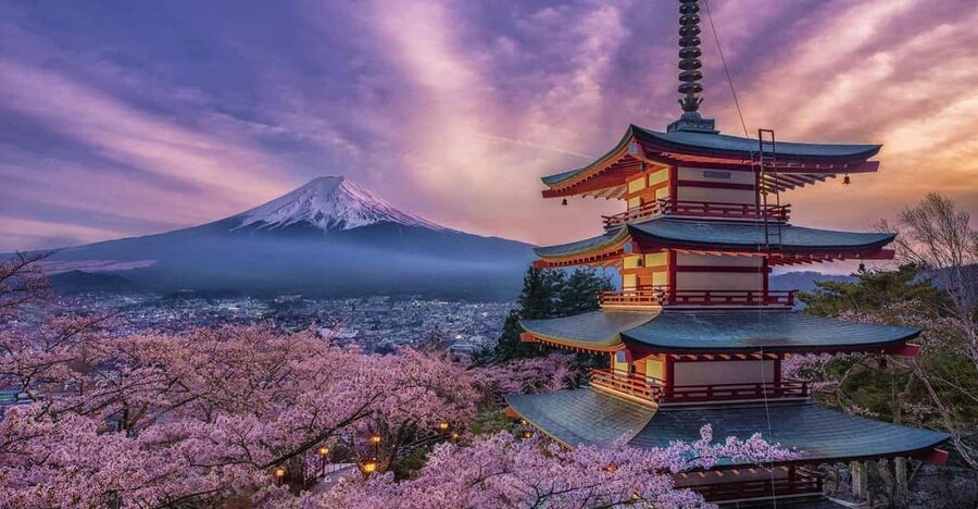 Tokyo: Mount Fuji & Hakone Private Tour with Guide - Shrines beneath old cedar trees