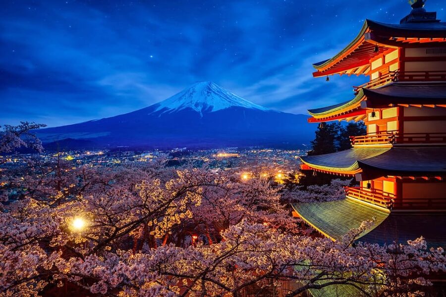 Tokyo: Mount Fuji & Hakone Private Tour with Guide - Hakone Ropeway and volcanic Owakudani