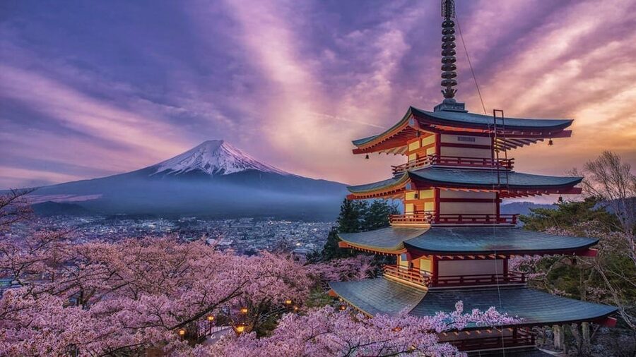 Tokyo: Mount Fuji & Hakone Private Tour with Guide - Mount Fuji Fifth Station at 2,300 meters