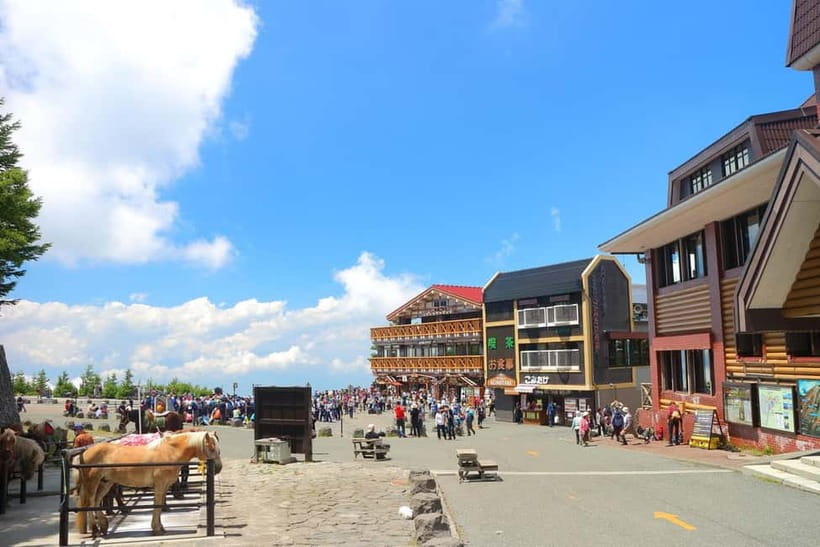 Tokyo: Mt. Fuji 5th St, Gotemba & Hakone by Luxury Bus - Key points at a glance