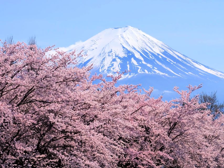 Tokyo: Mt. Fuji 5th Station & Hakone Cruise 1-Day Bus Tour - Why this Mt. Fuji and Hakone pairing works