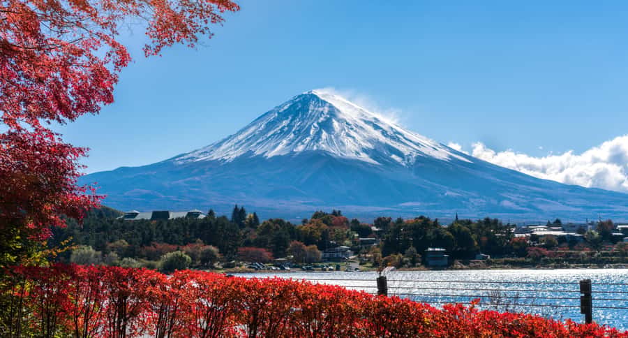 Tokyo: Mt. Fuji 5th Station, Kawaguchiko Tour w/ Cable Car - What the guide adds to the day