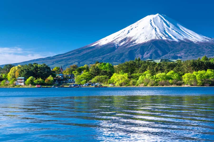 Tokyo: Mt. Fuji 5th Station, Kawaguchiko Tour w/ Cable Car - Who will enjoy this Mt. Fuji day trip?