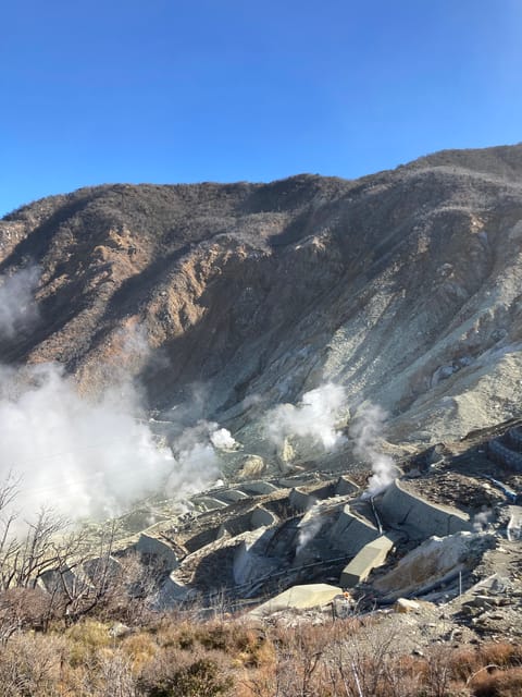 Tokyo: Mt. Fuji and Hakone Tour with Cable Car and Cruise - The return to Tokyo, Hakone-Yumoto, or Odawara