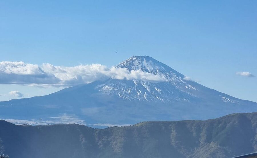 Tokyo: Mt. Fuji and Hakone Tour with Cable Car and Cruise - Is $92 good value for a full day?