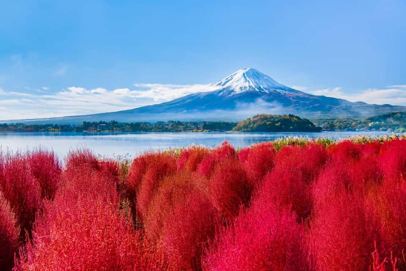 Tokyo: Mt. Fuji, Arakurayama Sengen Park, Oshino Hakkai Tour - Meeting at Kogakuin University in Shinjuku