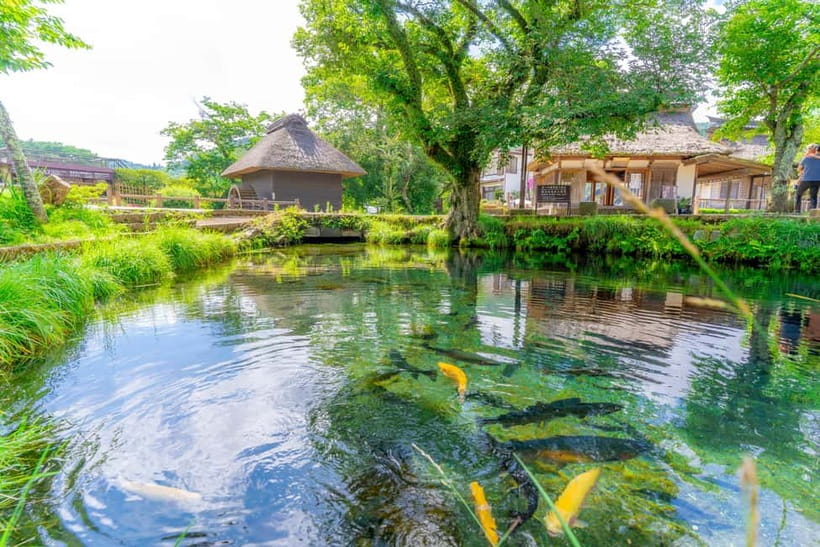 Tokyo: Mt. Fuji, Arakurayama Sengen Park, Oshino Hakkai Tour - Oishi Park, Lake Kawaguchi, and the weekday rule