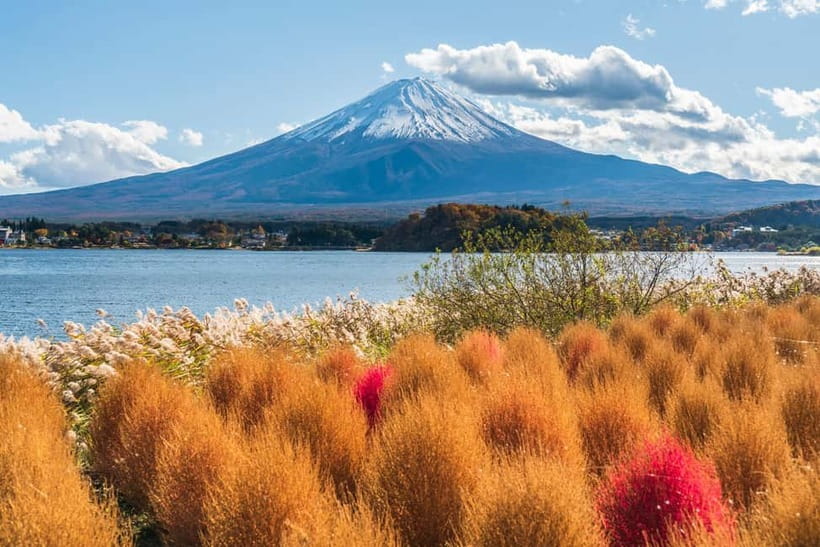 Tokyo: Mt. Fuji, Arakurayama Sengen Park, Oshino Hakkai Tour - Saiko Iyashi-no-Sato Nenba’s thatched houses