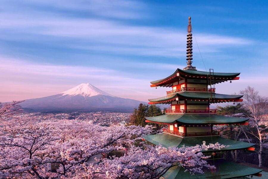 Tokyo:Mt Fuji & Hakone Day Tour with English Speaking Driver - Oishi Park and the road to Hakone