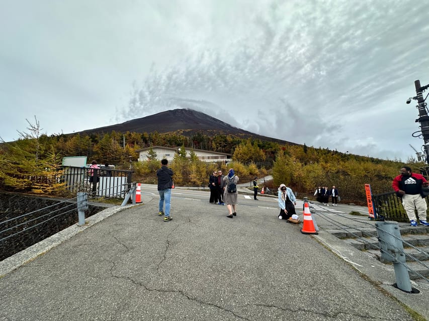 Tokyo:Mt Fuji & Hakone Day Tour with English Speaking Driver - The vehicle, comfort, and practical value
