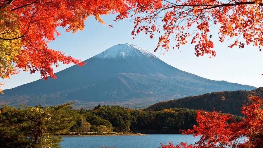 Tokyo: Mt. Fuji Hidden Gems and Aokigahara Forest Tour - Key points to know before booking