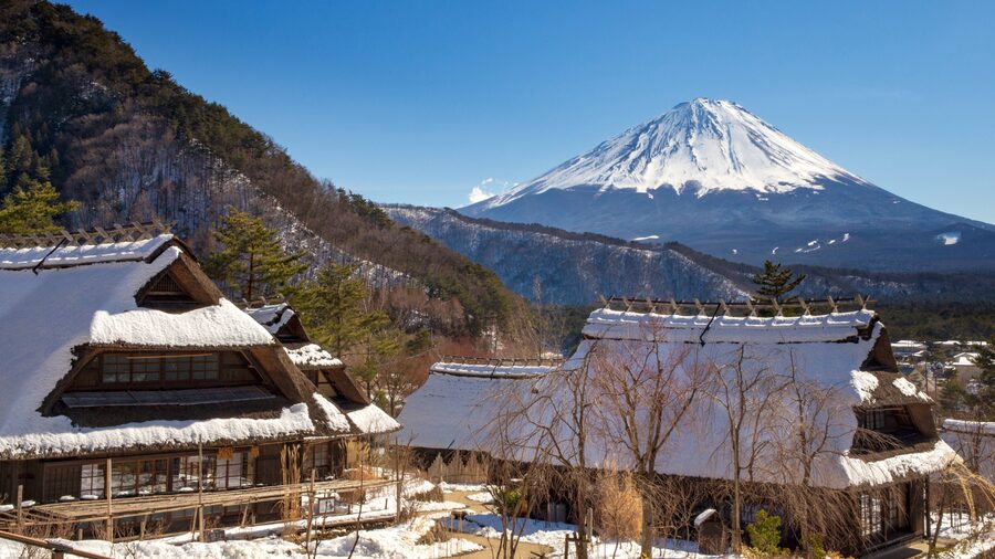 Tokyo: Mt. Fuji Hidden Gems and Aokigahara Forest Tour - Timing, clothing, and practical details