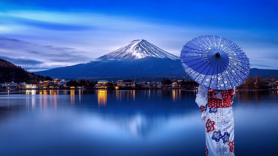 Tokyo: Mt. Fuji Hidden Gems and Aokigahara Forest Tour - Fugaku Wind Cave and the area’s working past