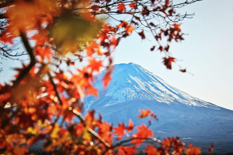 Tokyo: Mt. Fuji Hidden Gems and Aokigahara Forest Tour - What the $577 price really buys you