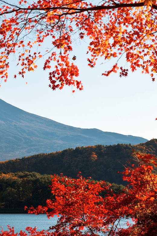 Tokyo: Mt. Fuji Hidden Gems and Aokigahara Forest Tour - Oishi Park: flowers beside Lake Kawaguchi