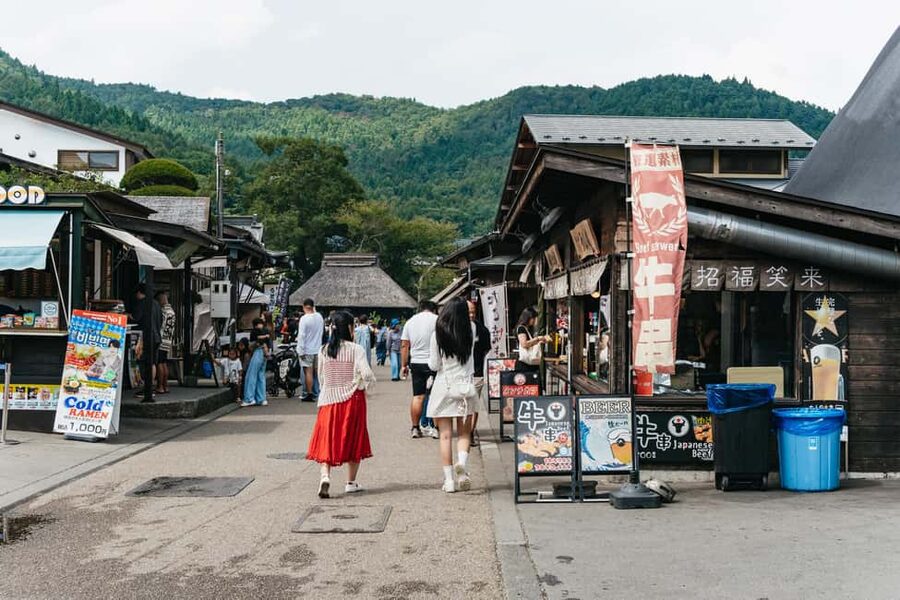 Tokyo: Mt. Fuji, Kamakura, Big Buddha, & Lake Ashi Day Trip - Is the $49 price good value?