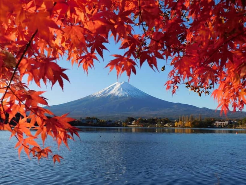 Tokyo:Mt.Fuji,Kawaguchiko Oishi Park,Arakurayama Sengen Park - Why this Mount Fuji day trip works