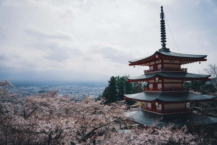 Tokyo: Mt. Fuji & Lake Kawaguchi Private Tour with Transfer - Key points to know before you book