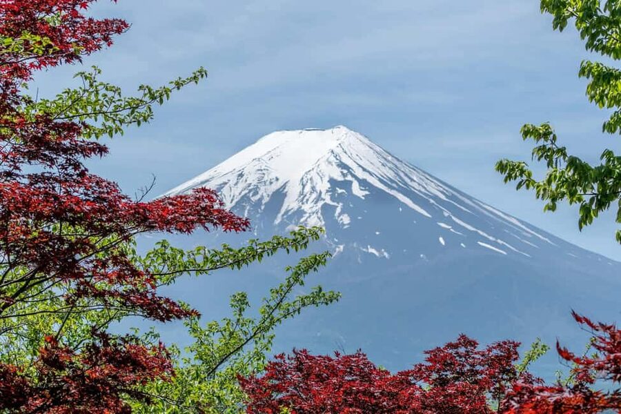 Tokyo: Mt. Fuji & Lake Kawaguchi Private Tour with Transfer - Lake Kawaguchi and Oishi Park bring the mountain to the water