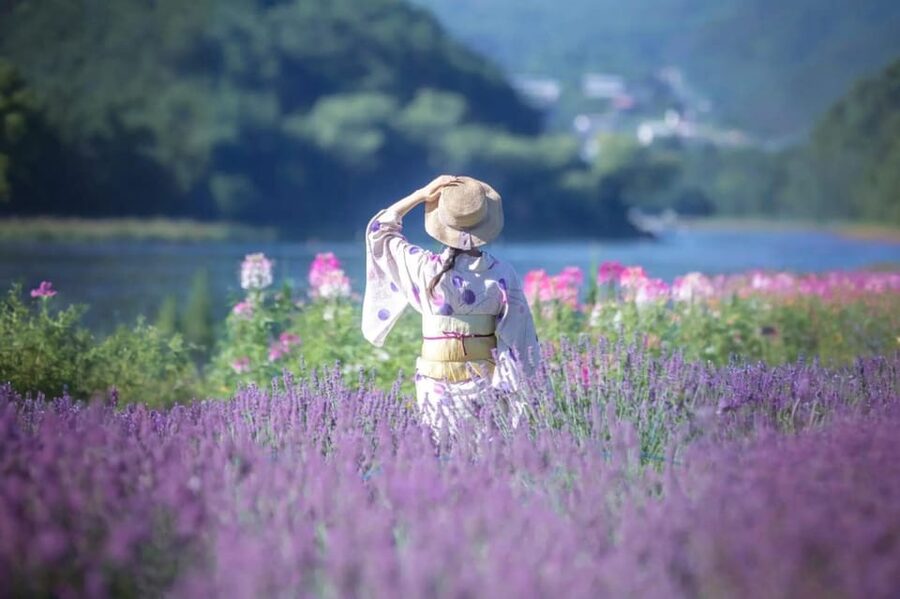 Tokyo: Mt Fuji Lake Kawaguchi & Yamanaka Hot Spring Day Tour - Hikawa Clock Shop and the Heavenly Town streets