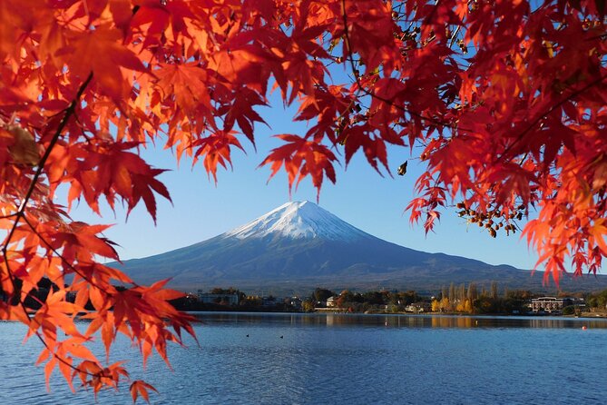 Tokyo: Mt.Fuji & Lake Kawaguchiko 1-Day Bus Tour w/Optional Lunch - Chureito Pagoda and the 398-step climb