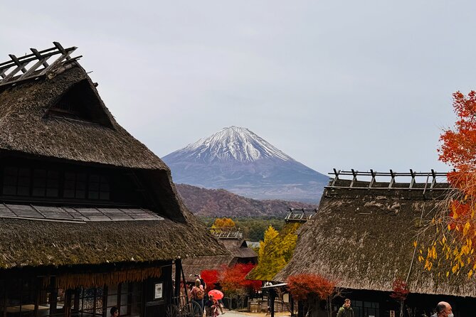 Tokyo: Mt.Fuji & Lake Kawaguchiko 1-Day Bus Tour w/Optional Lunch - Saiko Iyashi no Sato Nenba and old-style village life