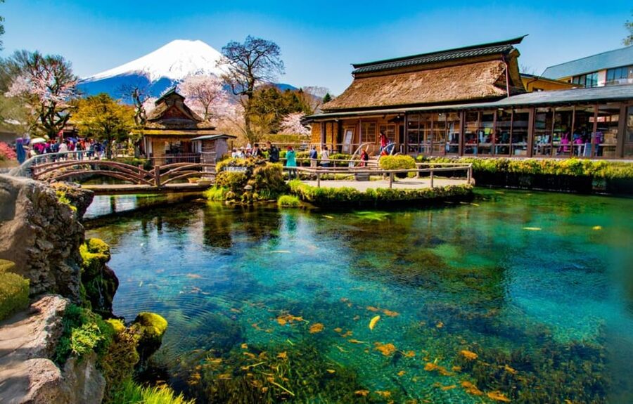 Tokyo: Mt Fuji Lake Kawaguchiko Tour & Arakuyama Sengen Park - The return to Tokyo and the reality of the schedule