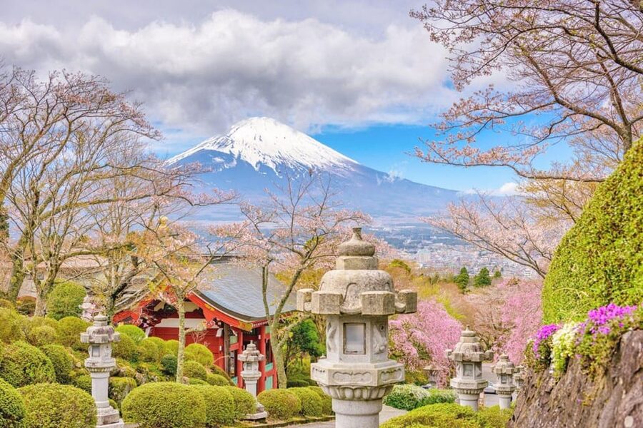 Tokyo: Mt Fuji Lake Kawaguchiko Tour & Arakuyama Sengen Park - Comfort, luggage, and who should book