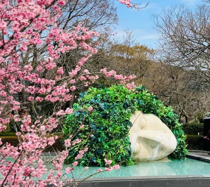 Tokyo: Mt. Fuji, Owakudani, Hakone Shrine, & Open-Air Museum - Seeing Owakudani’s volcanic power