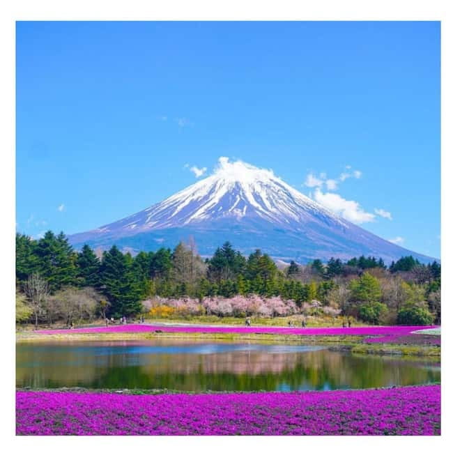 Tokyo: Mt Fuji Private Day Tour By English Driver Low Price - Why this private Fuji day works