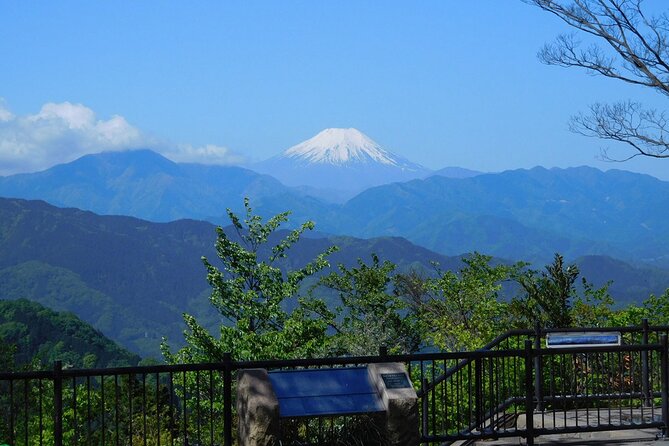 Tokyo: Mt Takao Tour with Ramen and Tattoo-Okay Hot Spring - Why Mt. Takao makes a good break from Tokyo