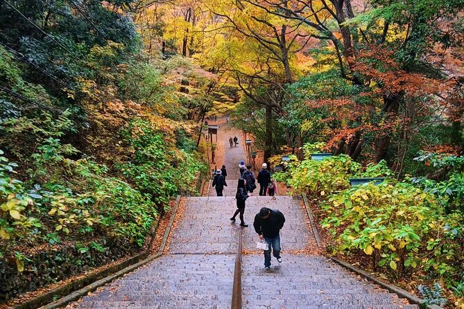 Tokyo: Mt Takao Tour with Ramen and Tattoo-Okay Hot Spring - Hachioji ramen, soba, and a well-timed lunch
