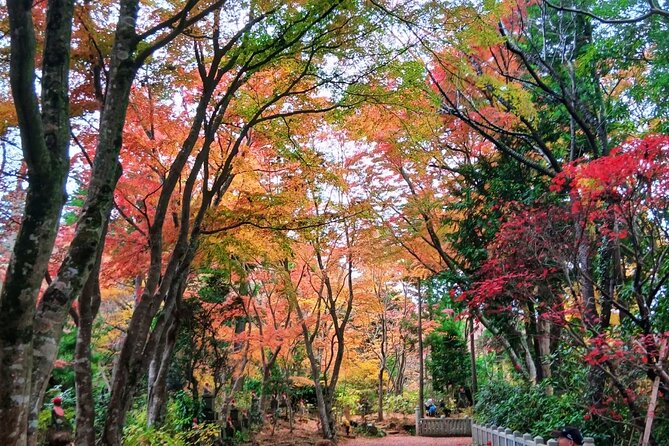 Tokyo: Mt Takao Tour with Ramen and Tattoo-Okay Hot Spring - Starting at Takaosanguchi and the Takao 599 Museum