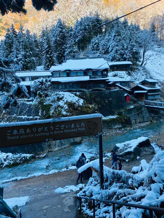 Tokyo/Nagano: private Tour with Snow Monkey Park & Temples - Key Things to Know Before You Book